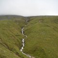0708schotlandronald82