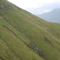 0708schotlandronald86