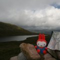 0708schotlandronald87