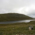 0708schotlandronald89