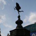 0708schotlandronald9