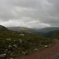 0708schotlandronald91
