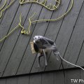 _dsc0109