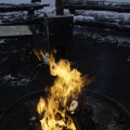 _dsc0135