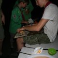 img_8444